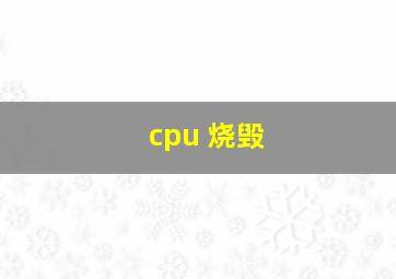 cpu 烧毁